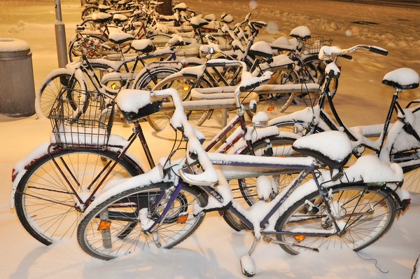 Winterimpressionen   008.jpg